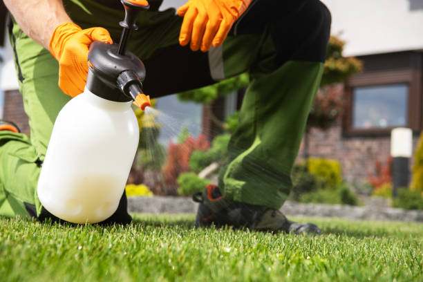 Professional Pest Control in Las Animas, CO